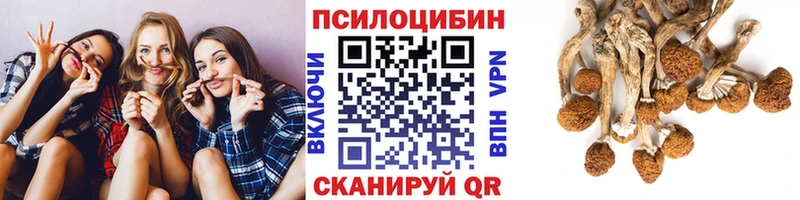 Галлюциногенные грибы ЛСД  гидра как войти  Жердевка 